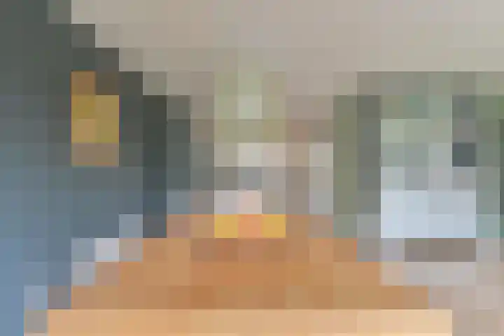 Grijze Snip 24 Emmen thumbnail 27