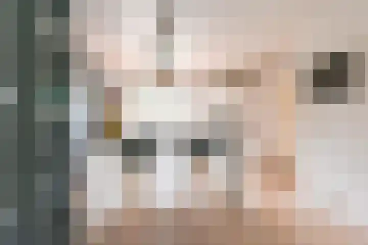 Grijze Snip 24 Emmen thumbnail 30