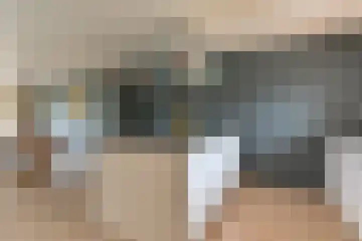 Grijze Snip 24 Emmen thumbnail 31