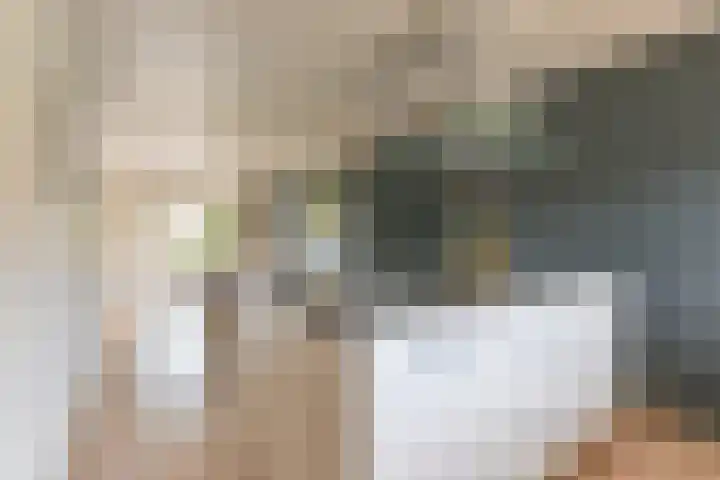 Grijze Snip 24 Emmen thumbnail 32