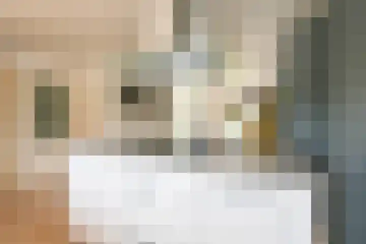 Grijze Snip 24 Emmen thumbnail 33