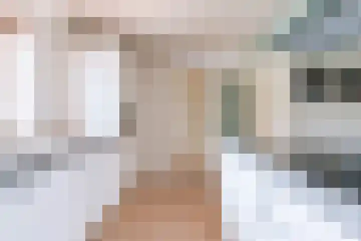 Grijze Snip 24 Emmen thumbnail 34