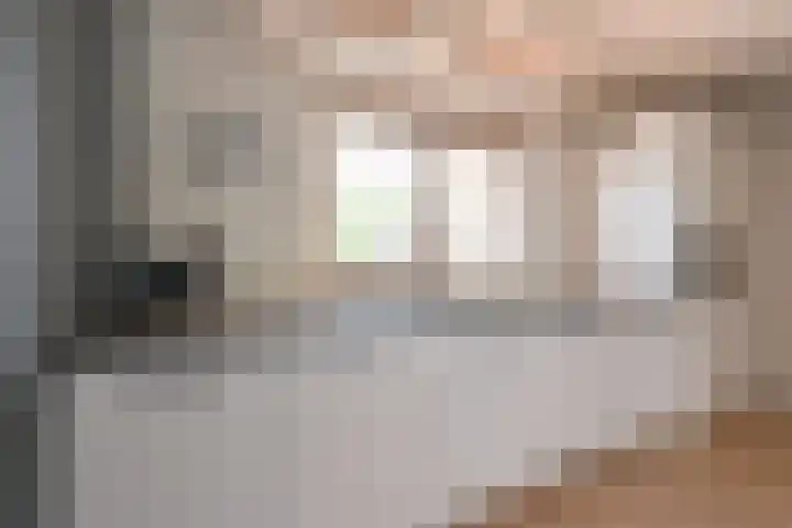 Grijze Snip 24 Emmen thumbnail 35