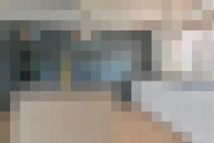 Grijze Snip 24 Emmen thumbnail 36