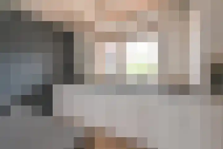 Grijze Snip 24 Emmen thumbnail 37