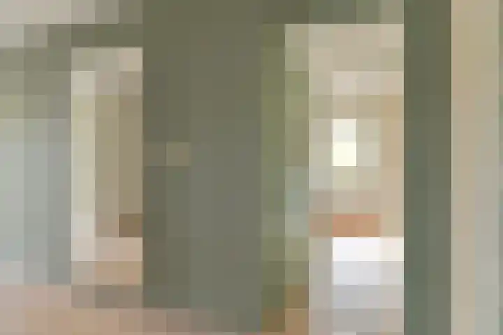 Grijze Snip 24 Emmen thumbnail 38
