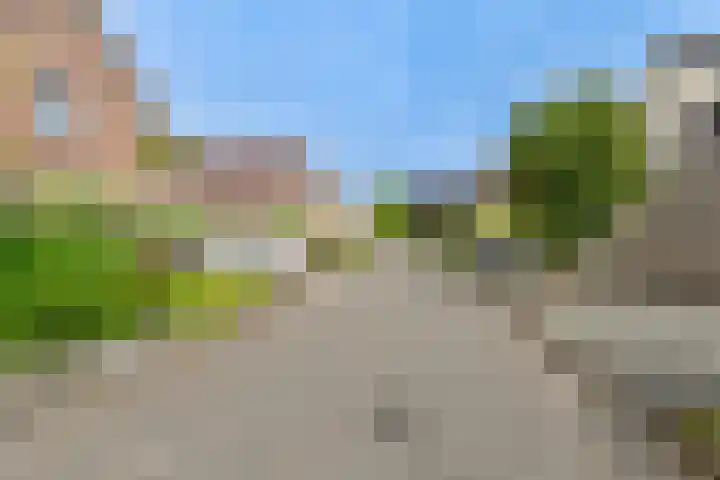 Grijze Snip 24 Emmen thumbnail 4