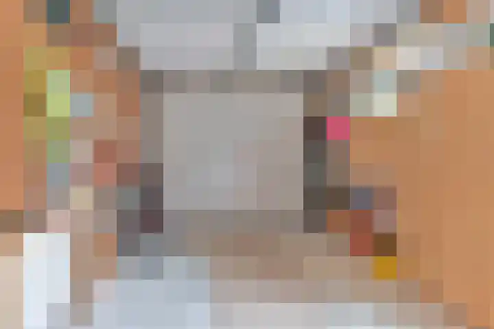 Grijze Snip 24 Emmen thumbnail 41