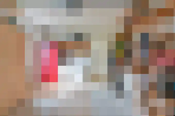 Grijze Snip 24 Emmen thumbnail 42