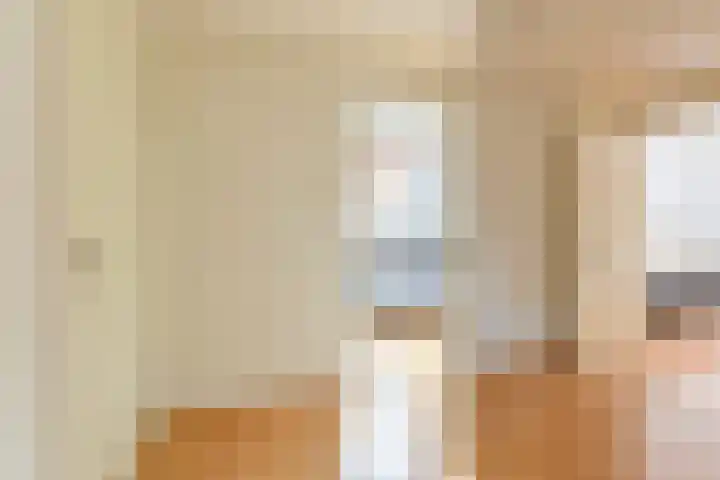 Grijze Snip 24 Emmen thumbnail 43