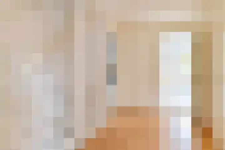 Grijze Snip 24 Emmen thumbnail 44