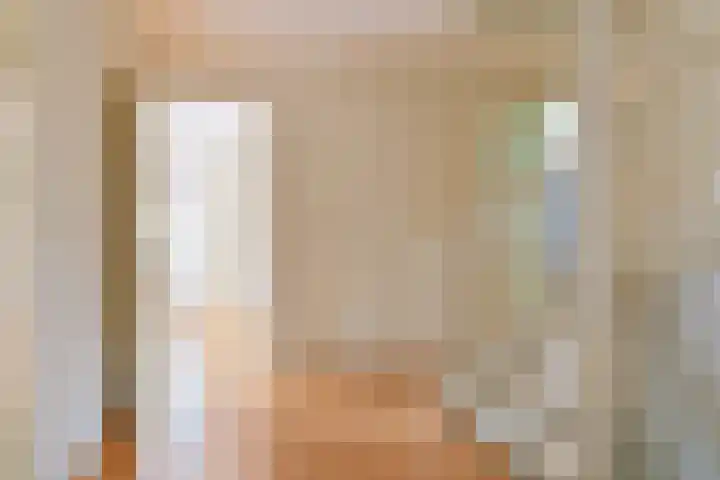 Grijze Snip 24 Emmen thumbnail 45