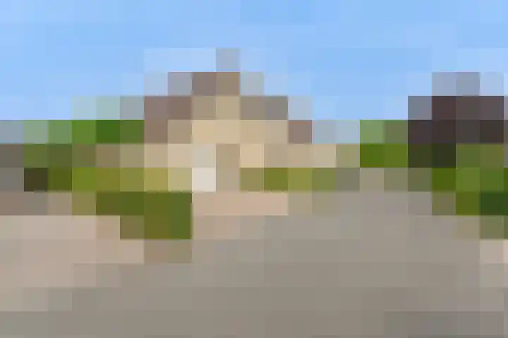 Grijze Snip 24 Emmen thumbnail 5