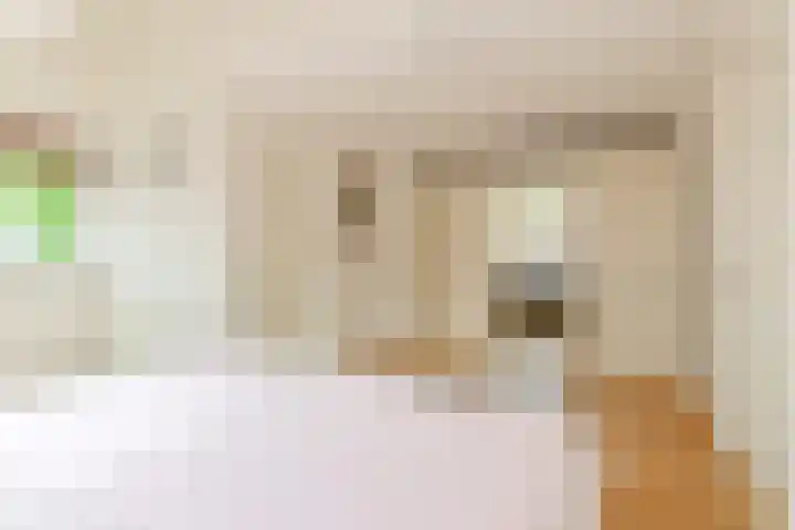 Grijze Snip 24 Emmen thumbnail 50