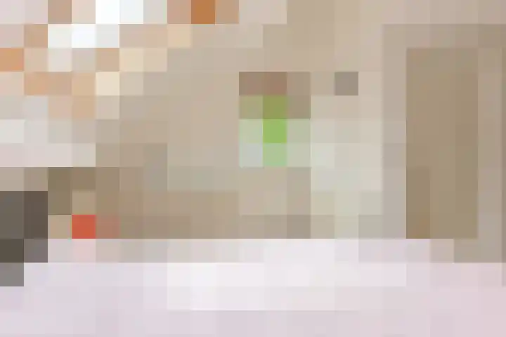 Grijze Snip 24 Emmen thumbnail 51