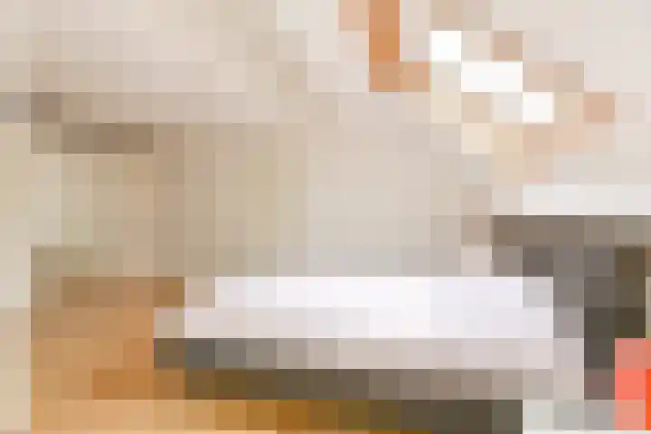 Grijze Snip 24 Emmen thumbnail 52