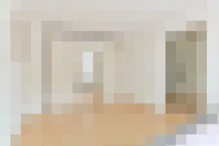 Grijze Snip 24 Emmen thumbnail 53