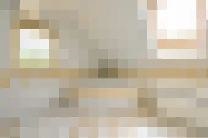 Grijze Snip 24 Emmen thumbnail 54