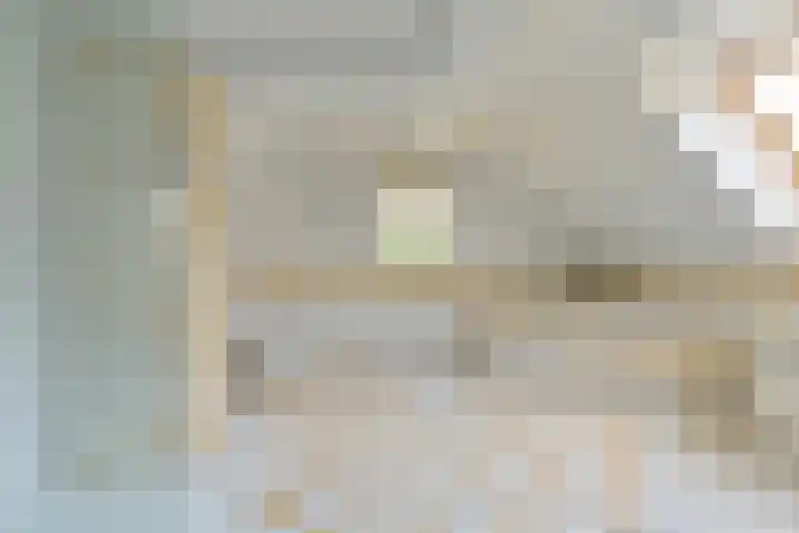 Grijze Snip 24 Emmen thumbnail 55