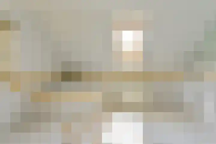 Grijze Snip 24 Emmen thumbnail 56