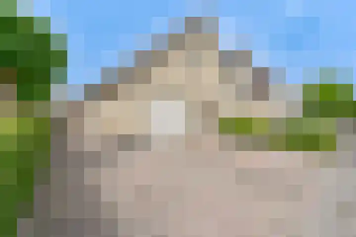 Grijze Snip 24 Emmen thumbnail 6