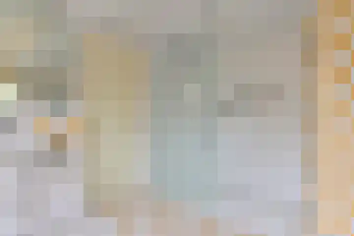 Grijze Snip 24 Emmen thumbnail 60