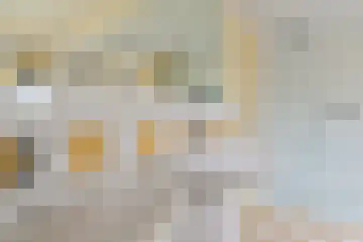Grijze Snip 24 Emmen thumbnail 61