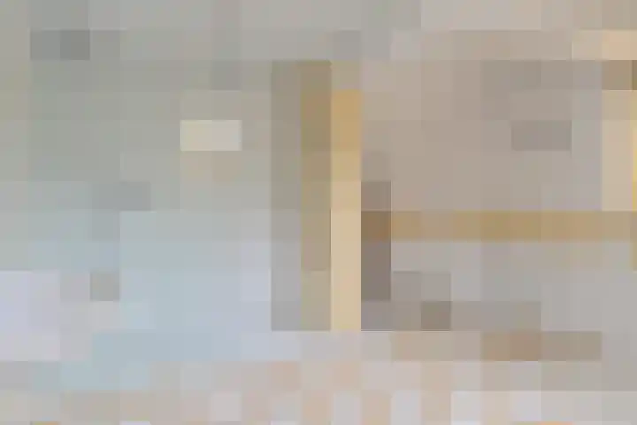 Grijze Snip 24 Emmen thumbnail 62