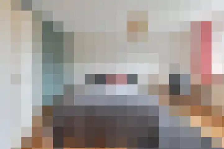 Grijze Snip 24 Emmen thumbnail 65