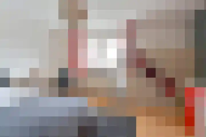 Grijze Snip 24 Emmen thumbnail 66