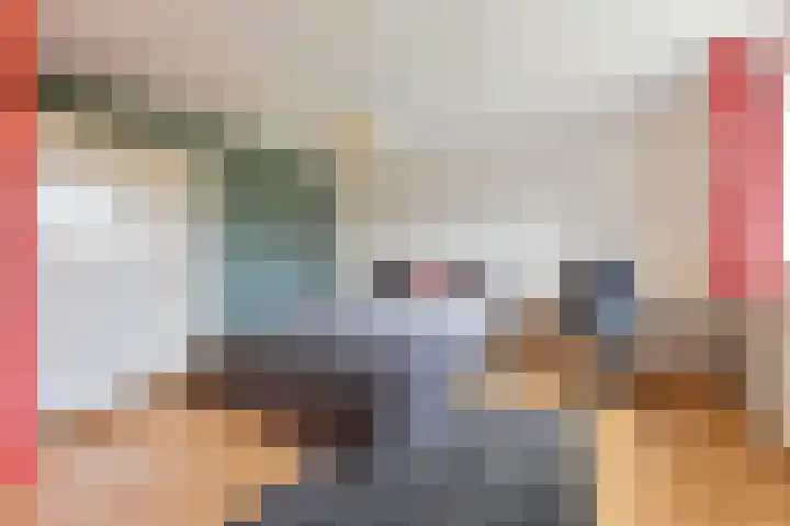Grijze Snip 24 Emmen thumbnail 67
