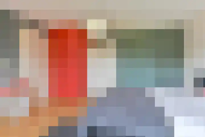 Grijze Snip 24 Emmen thumbnail 68