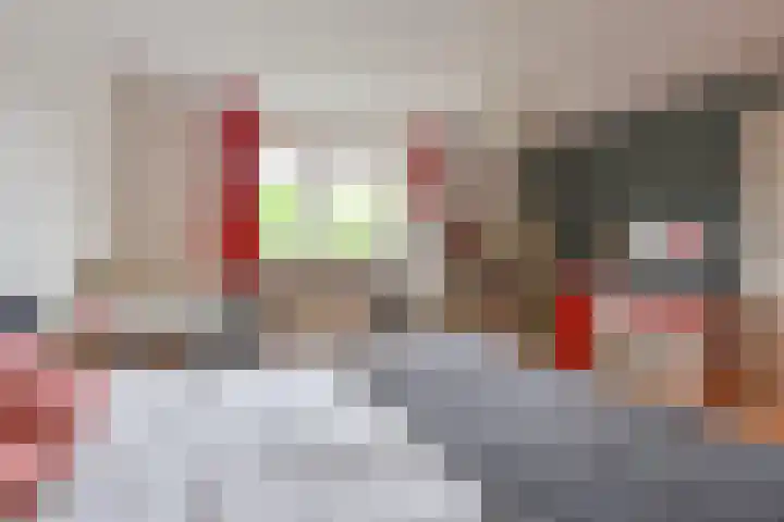 Grijze Snip 24 Emmen thumbnail 69