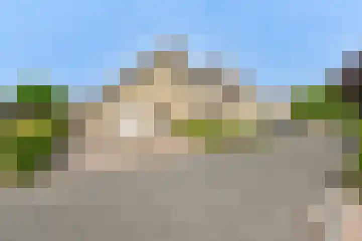 Grijze Snip 24 Emmen thumbnail 7