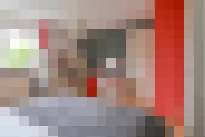 Grijze Snip 24 Emmen thumbnail 70