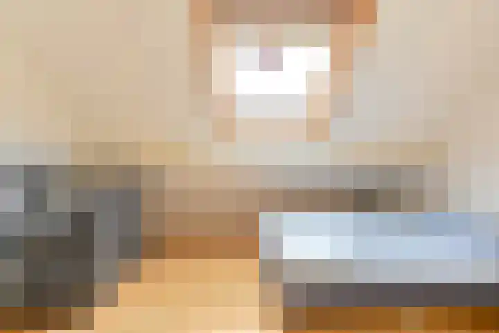 Grijze Snip 24 Emmen thumbnail 71