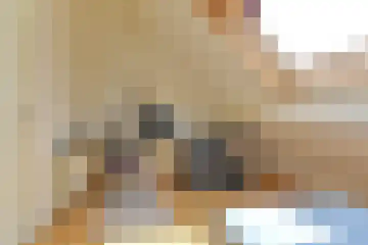 Grijze Snip 24 Emmen thumbnail 72