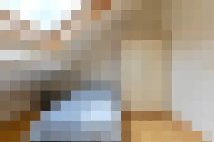 Grijze Snip 24 Emmen thumbnail 73