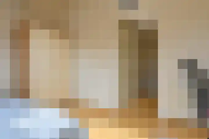 Grijze Snip 24 Emmen thumbnail 74