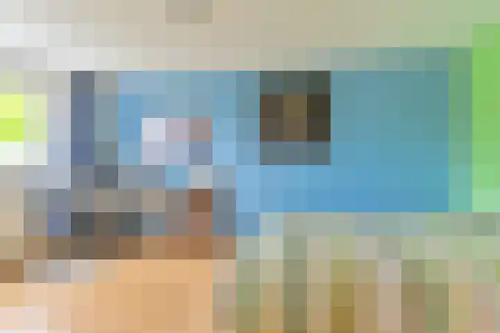 Grijze Snip 24 Emmen thumbnail 75
