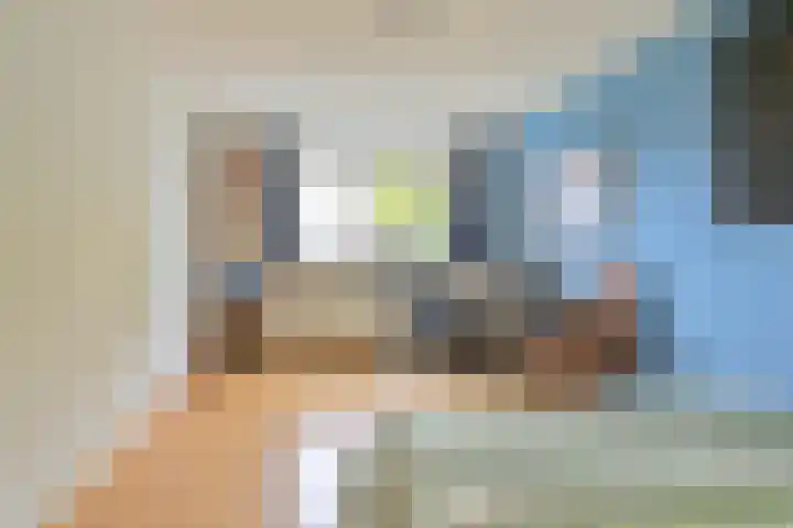 Grijze Snip 24 Emmen thumbnail 76
