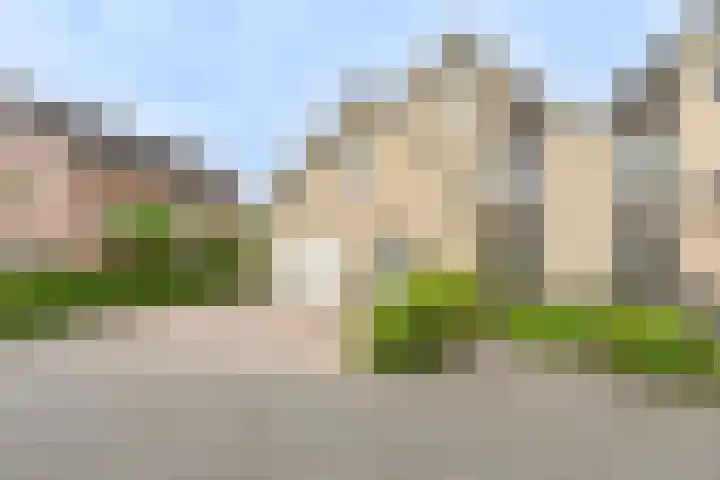 Grijze Snip 24 Emmen thumbnail 8