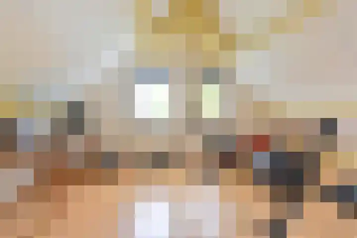 Grijze Snip 24 Emmen thumbnail 81