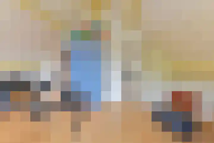 Grijze Snip 24 Emmen thumbnail 84
