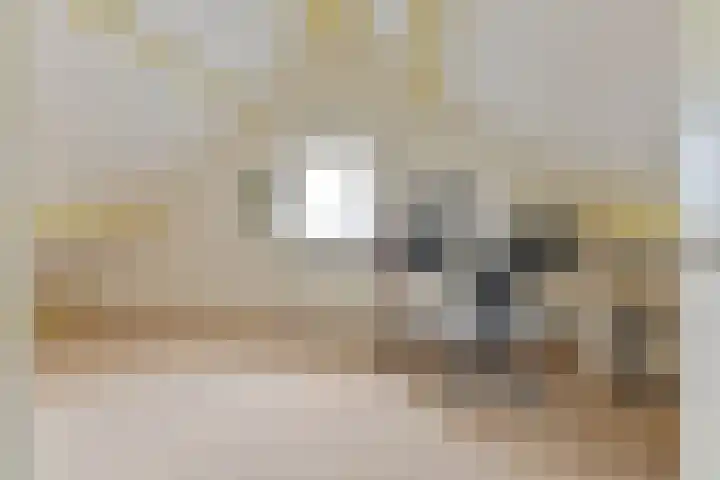 Grijze Snip 24 Emmen thumbnail 85