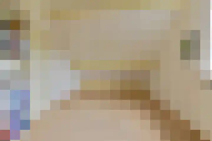 Grijze Snip 24 Emmen thumbnail 86