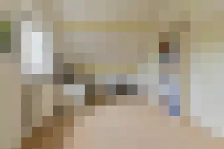Grijze Snip 24 Emmen thumbnail 87