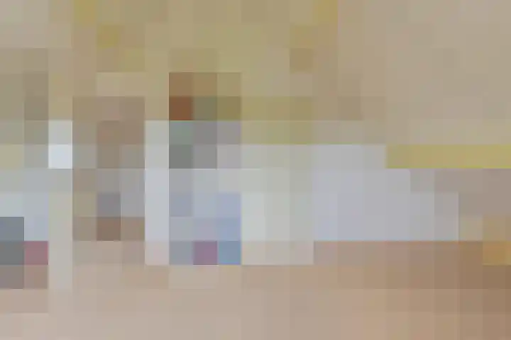Grijze Snip 24 Emmen thumbnail 88