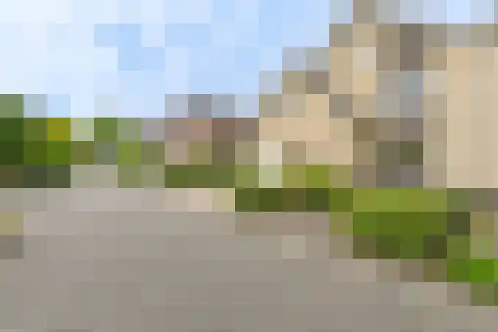 Grijze Snip 24 Emmen thumbnail 9