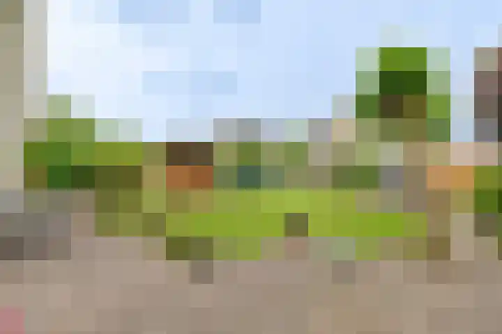 Grijze Snip 24 Emmen thumbnail 92